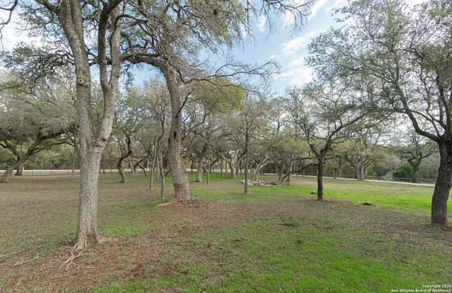 a view of a park with tree s