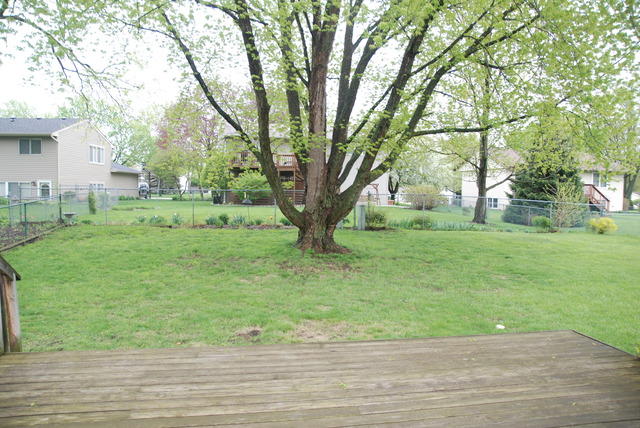 1517 Rita Avenue St. Charles, IL 60174 - Photo 13 of 14