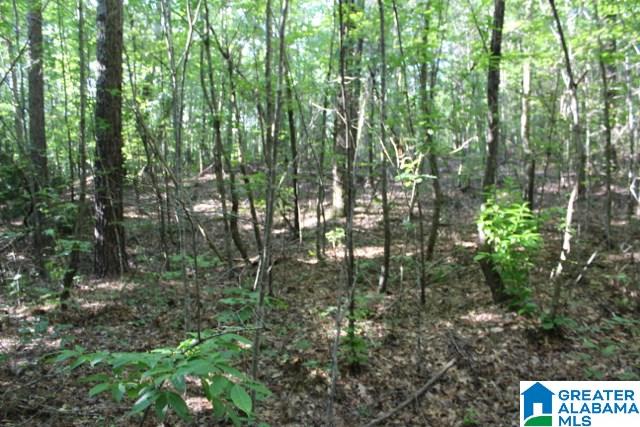 1 Benefield Gap Road Attalla, AL 35954 - Photo 39 of 50