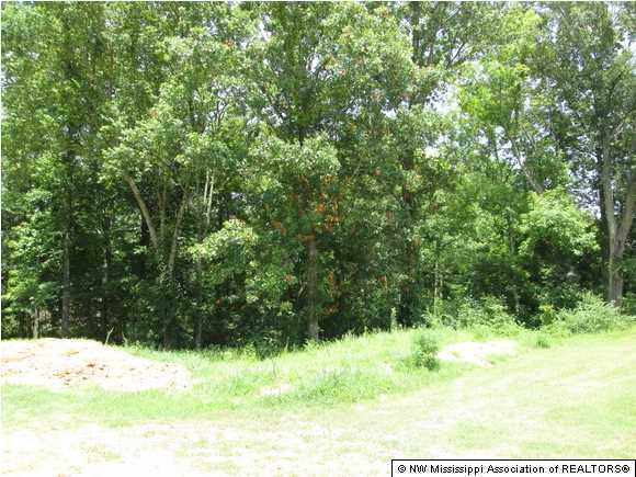 26 Smoke Stack Drive Hernando, MS 38632 - Photo 1 of 1 Primary Photo