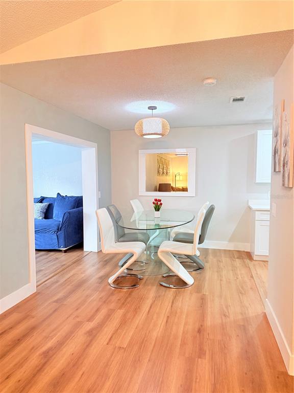2130 Redleaf Drive Brandon, FL 33510 - Photo 6 of 41