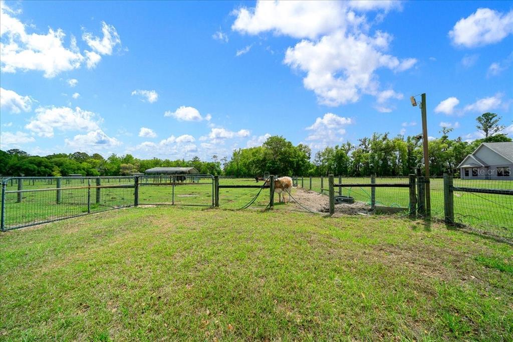 13456 West Highway 318 Reddick, FL 32686 - Photo 48 of 58