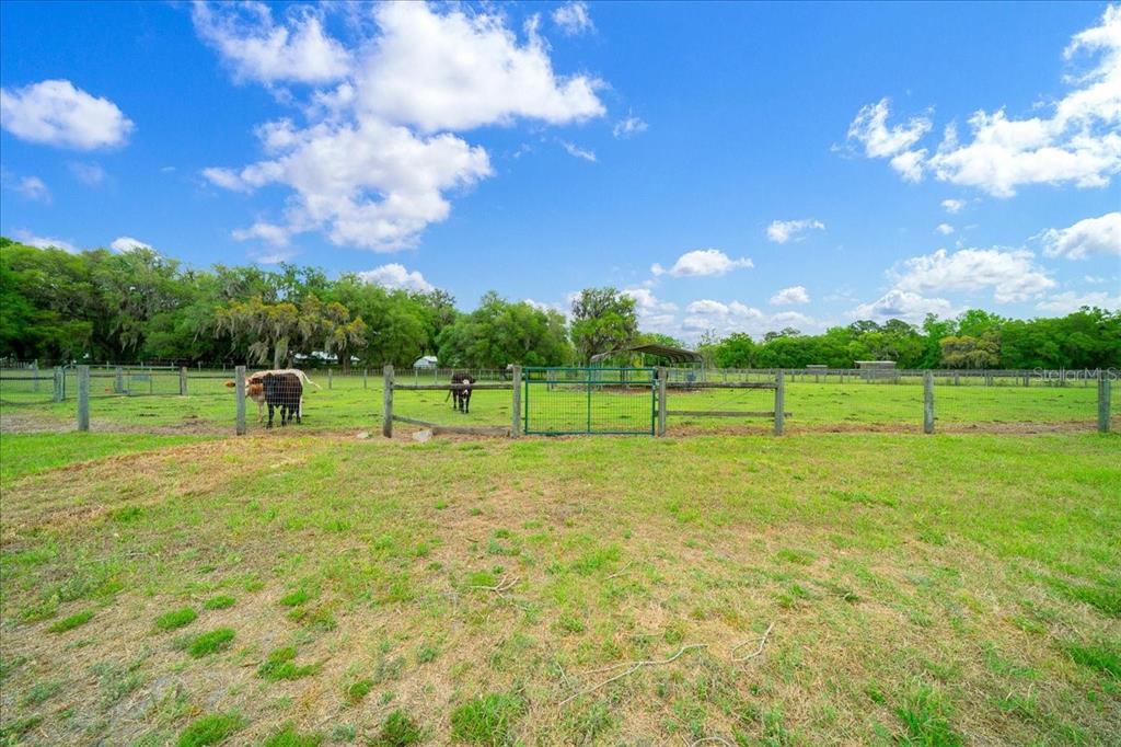13456 West Highway 318 Reddick, FL 32686 - Photo 52 of 58