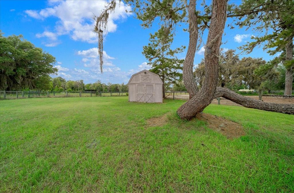 13456 West Highway 318 Reddick, FL 32686 - Photo 53 of 58