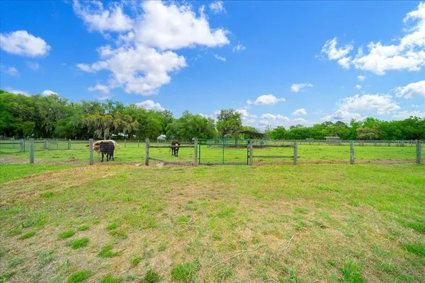 $869,000 | 13456 West Highway 318, Reddick, FL 32686