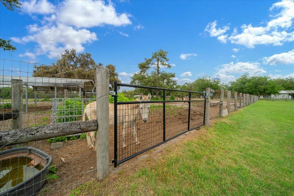 13456 West Highway 318 Reddick, FL 32686 - Photo 57 of 58