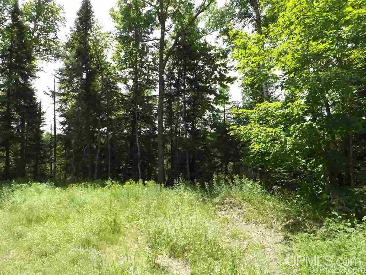 Tbd South Olson Lake Road Michigamme, MI 49861 - Photo 8 of 25