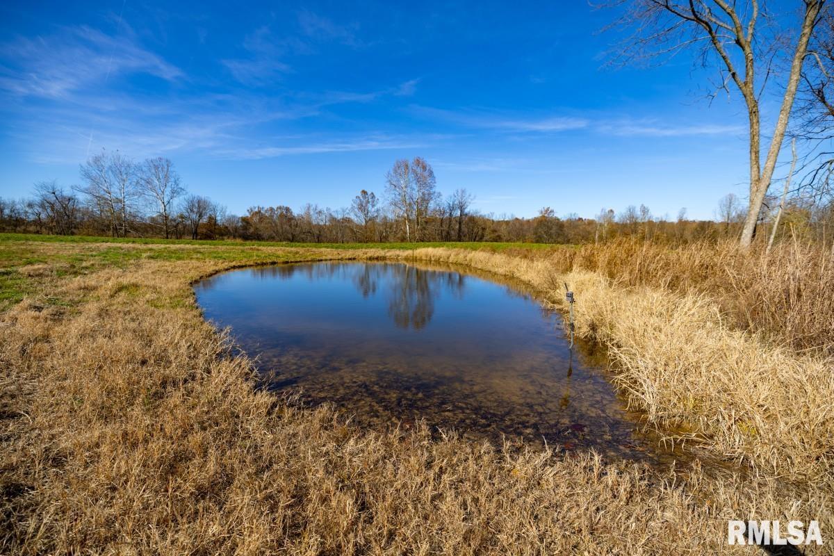 0 Route 1 Highway Cave In Rock, IL 62919 - Photo 11 of 69
