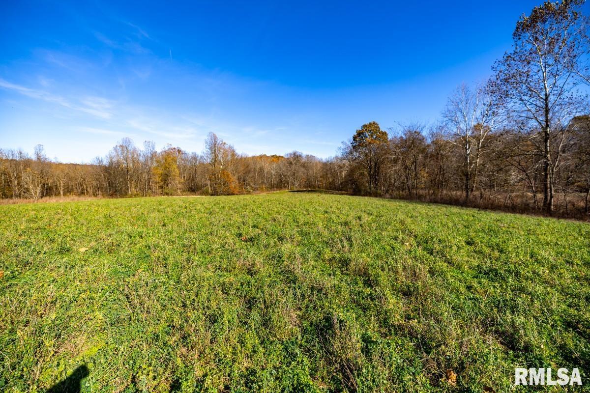 0 Route 1 Highway Cave In Rock, IL 62919 - Photo 12 of 69
