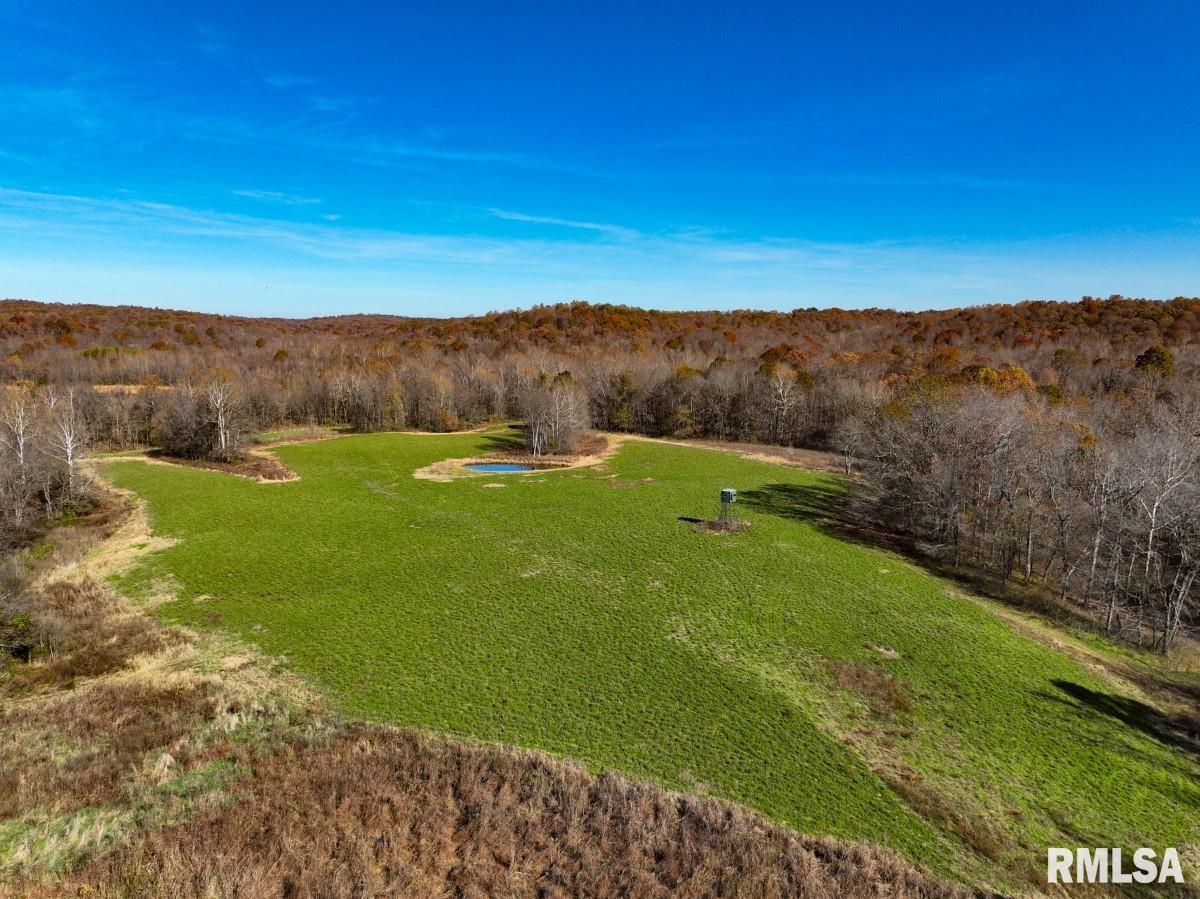 0 Route 1 Highway Cave In Rock, IL 62919 - Photo 13 of 69