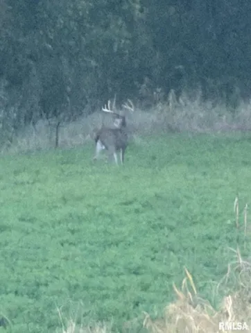 $1,273,095 | 0 Route 1 Highway, Cave In Rock, IL 62919