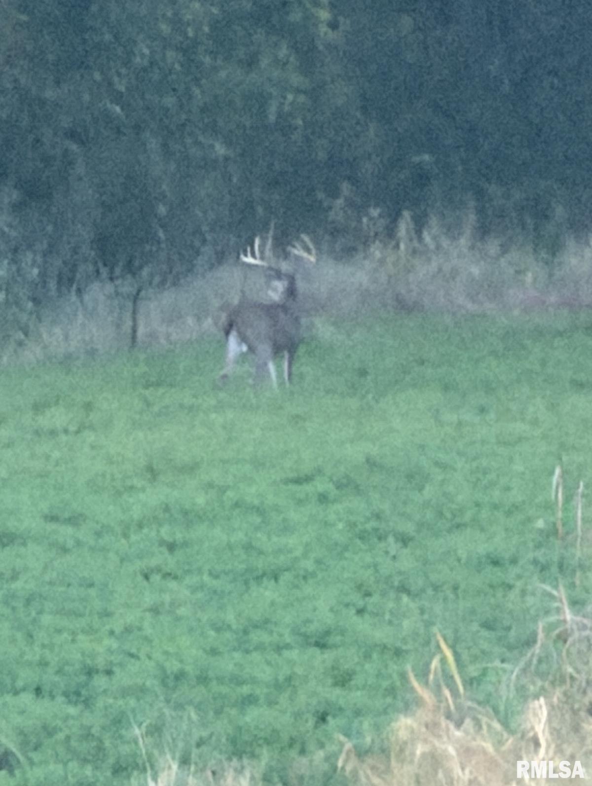 0 Route 1 Highway Cave In Rock, IL 62919 - Photo 15 of 69