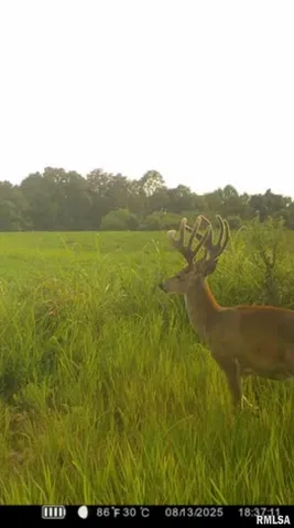 $1,273,095 | 0 Route 1 Highway, Cave In Rock, IL 62919