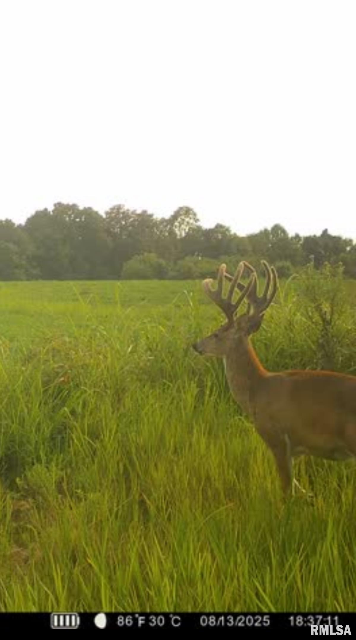 0 Route 1 Highway Cave In Rock, IL 62919 - Photo 16 of 69