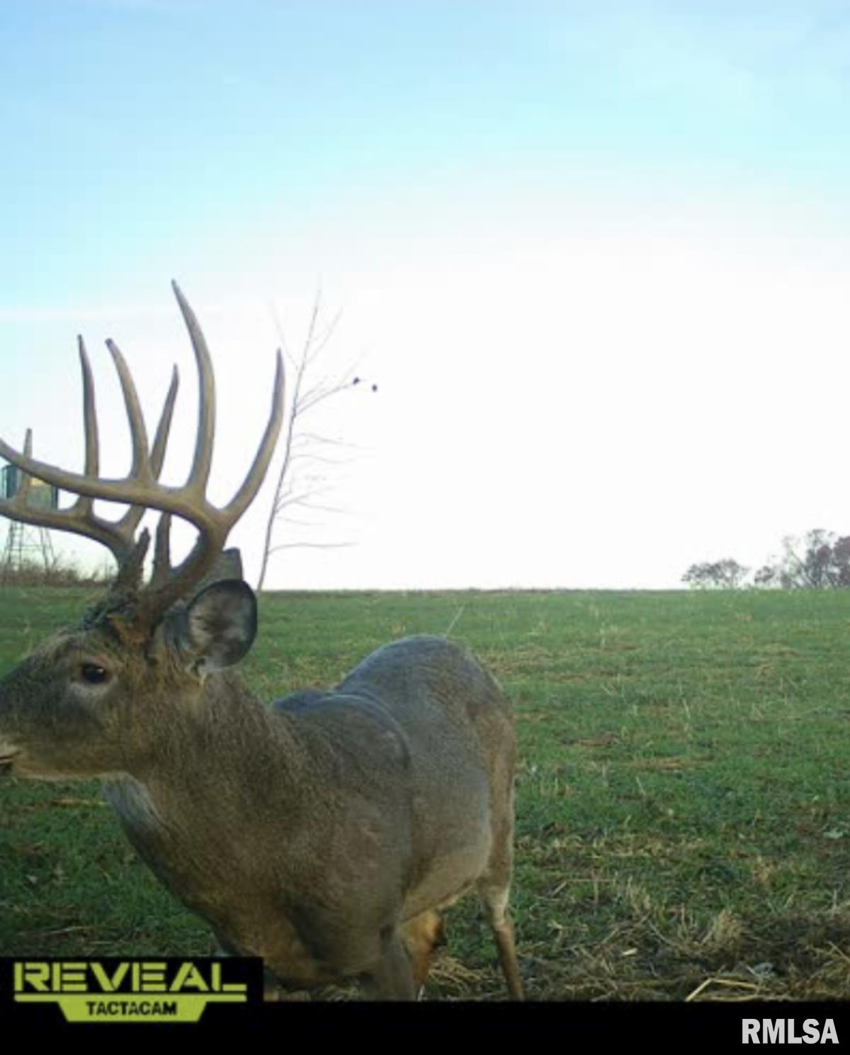 0 Route 1 Highway Cave In Rock, IL 62919 - Photo 17 of 69