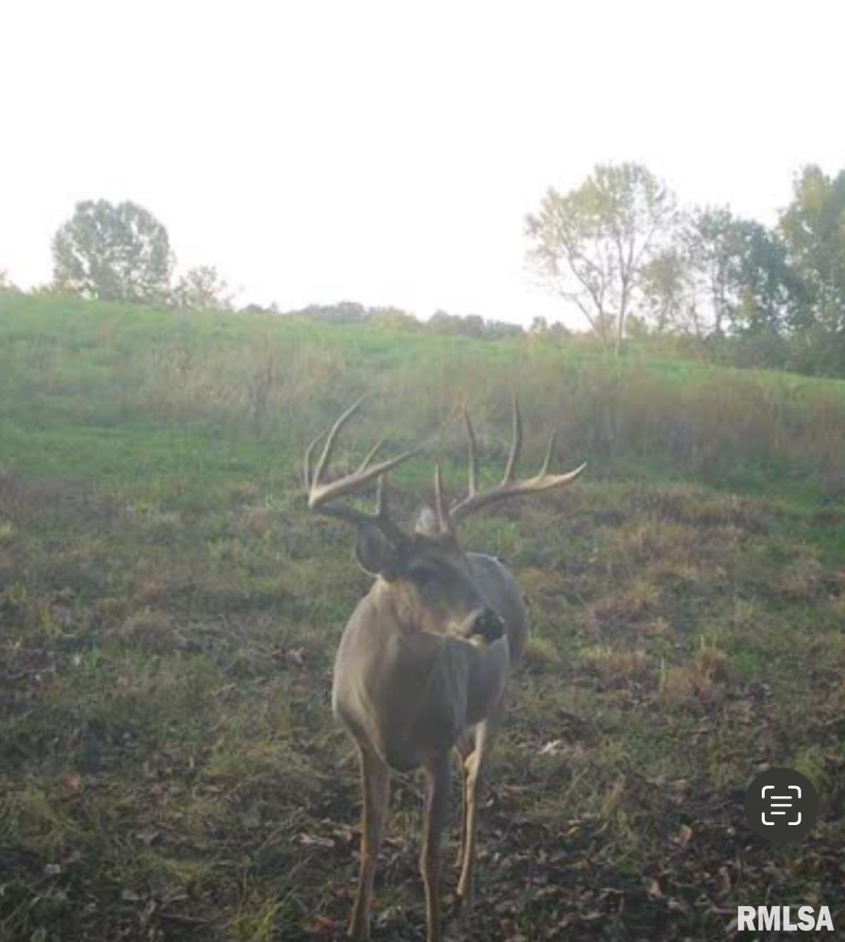 0 Route 1 Highway Cave In Rock, IL 62919 - Photo 19 of 69