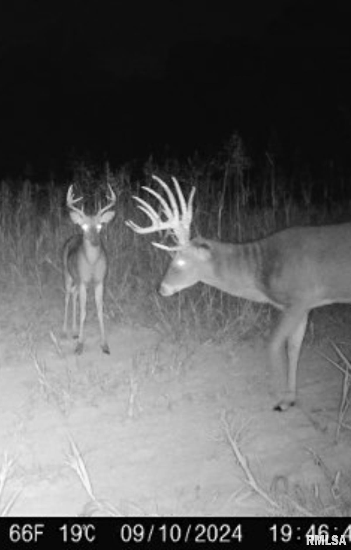 0 Route 1 Highway Cave In Rock, IL 62919 - Photo 20 of 69