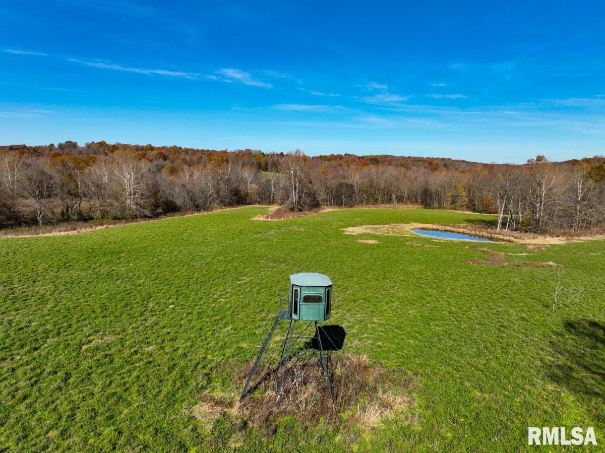 0 Route 1 Highway Cave In Rock, IL 62919 - Photo 2 of 69