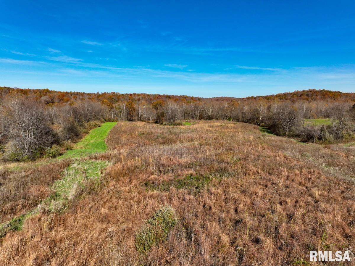 0 Route 1 Highway Cave In Rock, IL 62919 - Photo 21 of 69