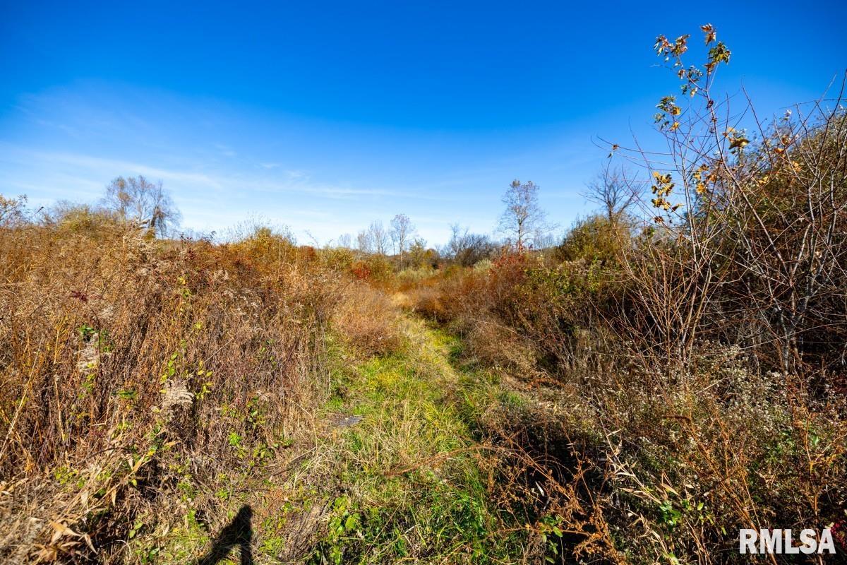 0 Route 1 Highway Cave In Rock, IL 62919 - Photo 23 of 69