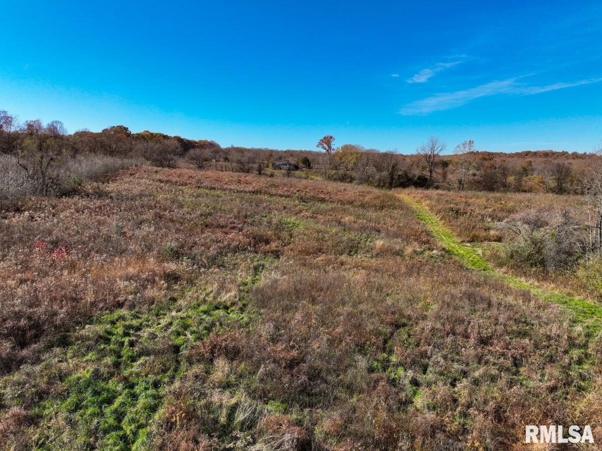 0 Route 1 Highway Cave In Rock, IL 62919 - Photo 24 of 69