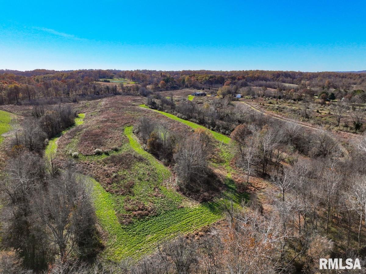 0 Route 1 Highway Cave In Rock, IL 62919 - Photo 26 of 69