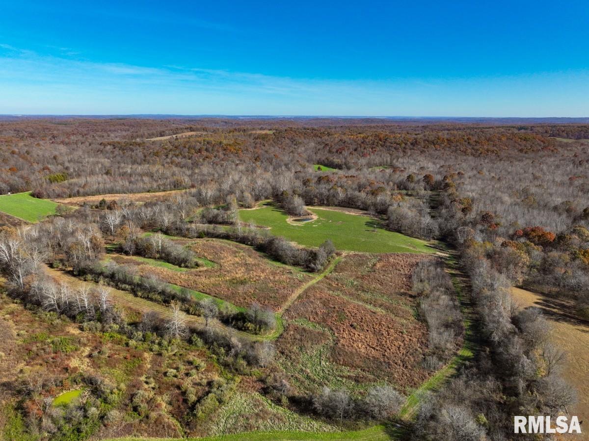0 Route 1 Highway Cave In Rock, IL 62919 - Photo 27 of 69