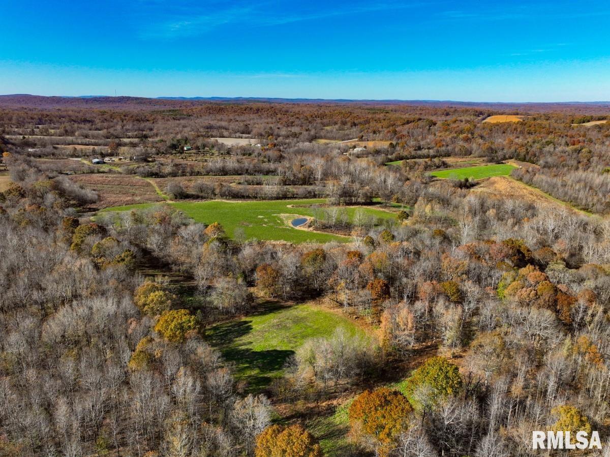 0 Route 1 Highway Cave In Rock, IL 62919 - Photo 28 of 69