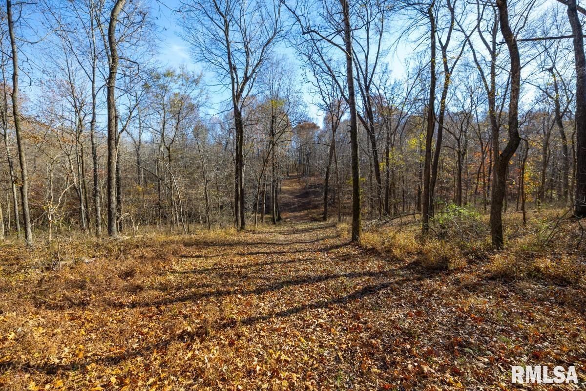 0 Route 1 Highway Cave In Rock, IL 62919 - Photo 29 of 69