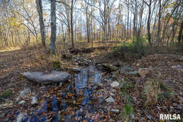 $1,273,095 | 0 Route 1 Highway, Cave In Rock, IL 62919