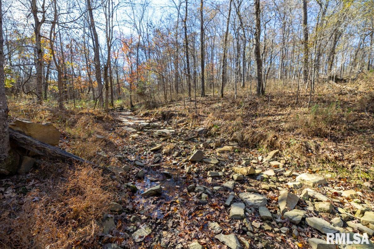 0 Route 1 Highway Cave In Rock, IL 62919 - Photo 31 of 69