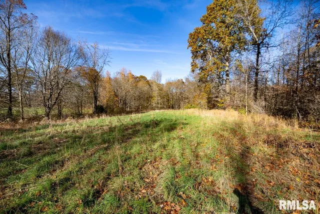 $1,273,095 | 0 Route 1 Highway, Cave In Rock, IL 62919