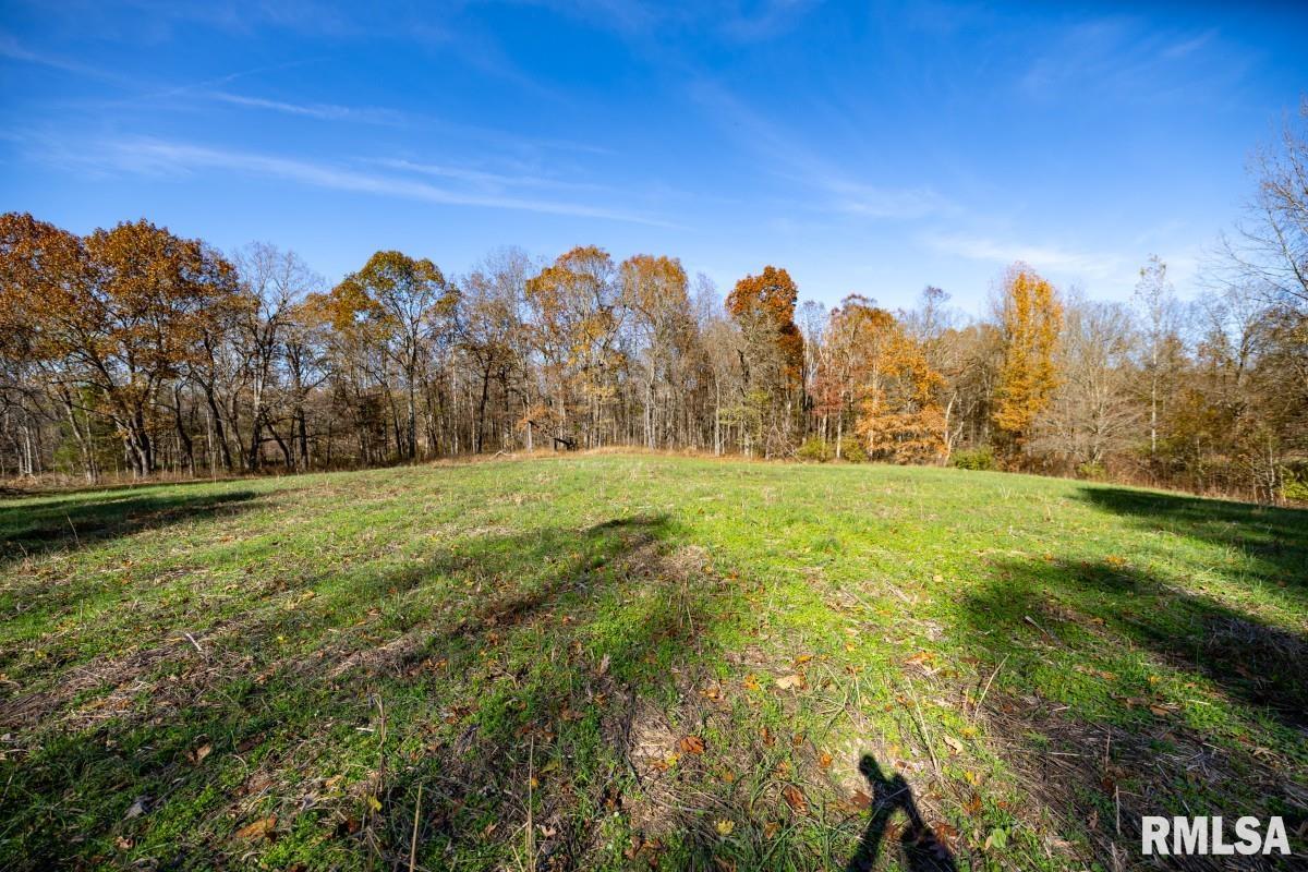 0 Route 1 Highway Cave In Rock, IL 62919 - Photo 35 of 69