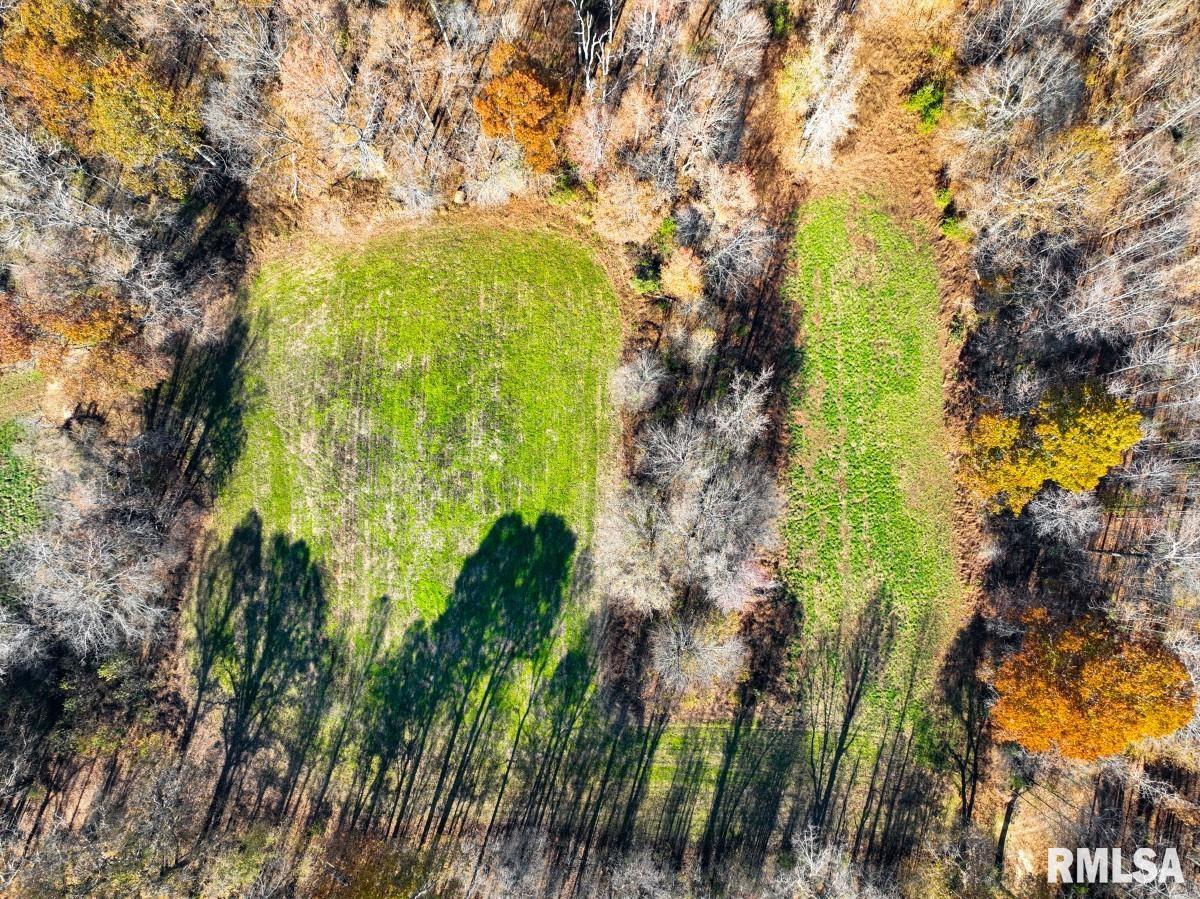 0 Route 1 Highway Cave In Rock, IL 62919 - Photo 36 of 69