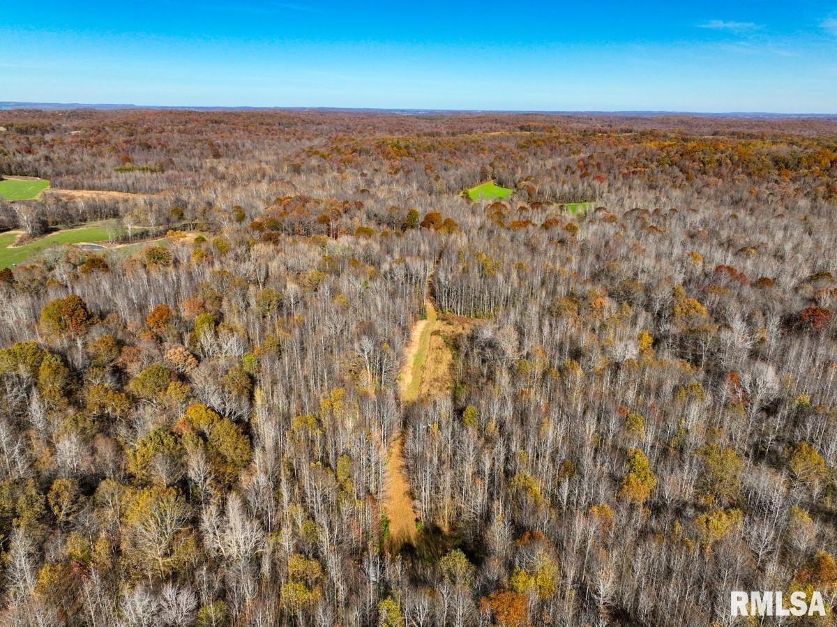 0 Route 1 Highway Cave In Rock, IL 62919 - Photo 37 of 69