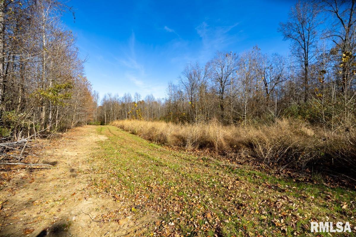 0 Route 1 Highway Cave In Rock, IL 62919 - Photo 38 of 69