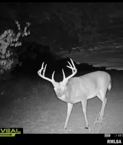 $1,273,095 | 0 Route 1 Highway, Cave In Rock, IL 62919