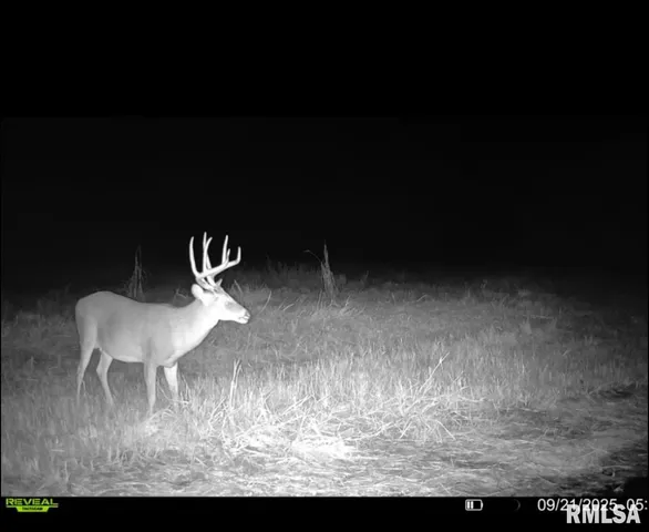 $1,273,095 | 0 Route 1 Highway, Cave In Rock, IL 62919