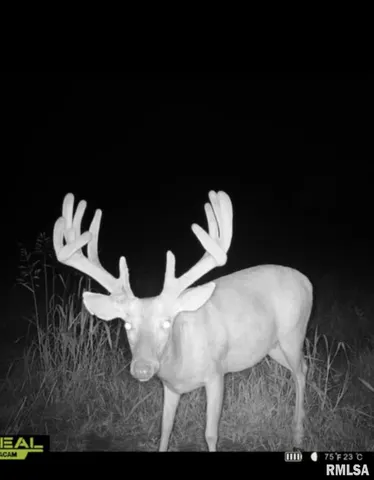 $1,273,095 | 0 Route 1 Highway, Cave In Rock, IL 62919