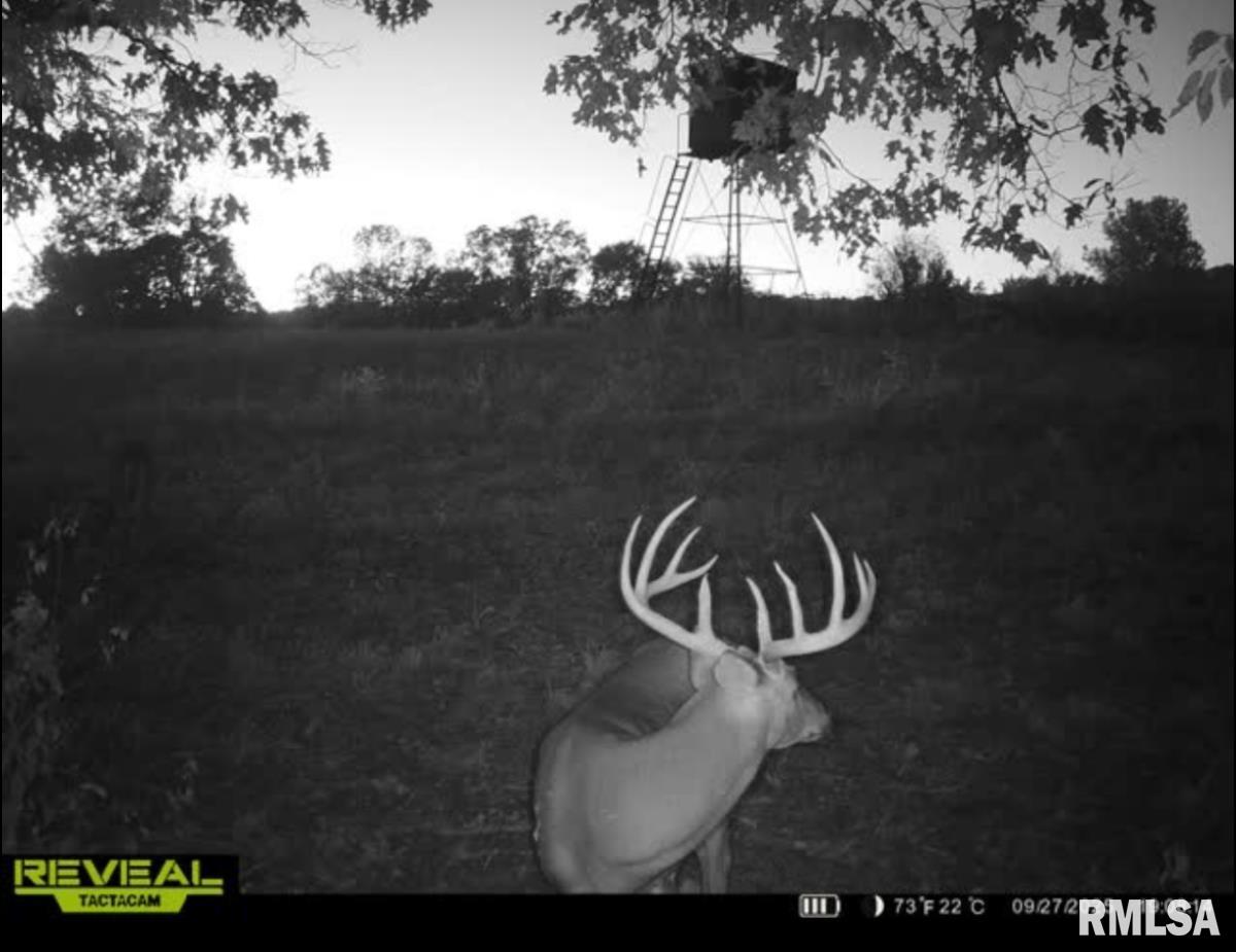 0 Route 1 Highway Cave In Rock, IL 62919 - Photo 46 of 69