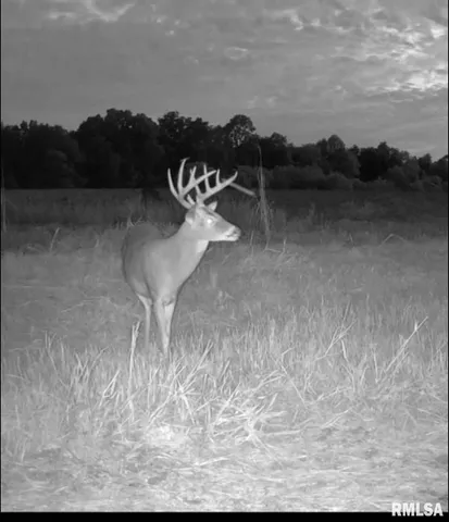 $1,273,095 | 0 Route 1 Highway, Cave In Rock, IL 62919