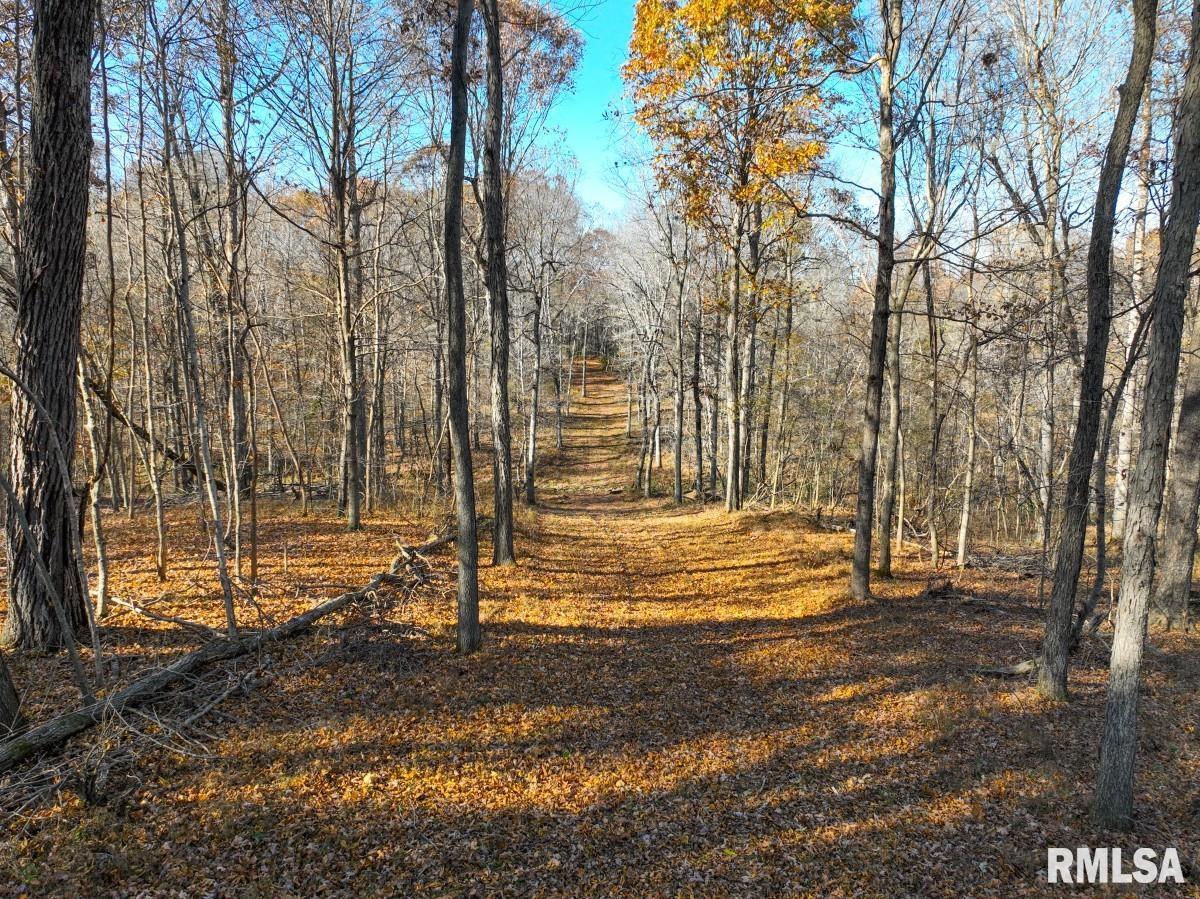 0 Route 1 Highway Cave In Rock, IL 62919 - Photo 49 of 69