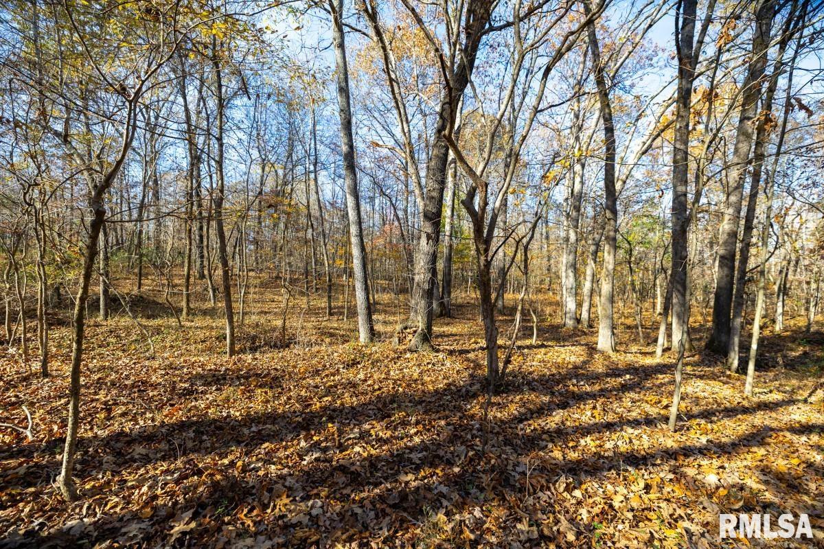 0 Route 1 Highway Cave In Rock, IL 62919 - Photo 50 of 69
