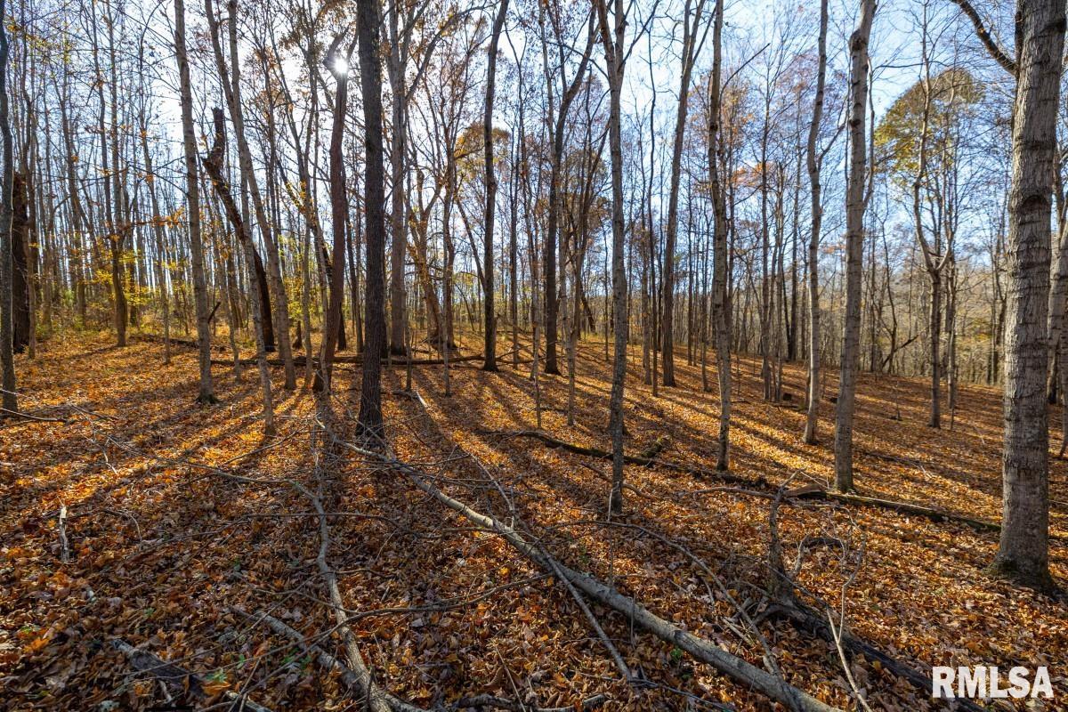 0 Route 1 Highway Cave In Rock, IL 62919 - Photo 51 of 69