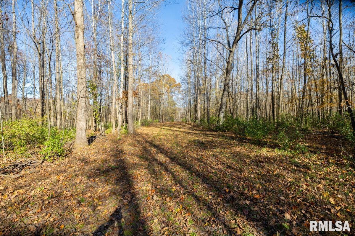 0 Route 1 Highway Cave In Rock, IL 62919 - Photo 53 of 69