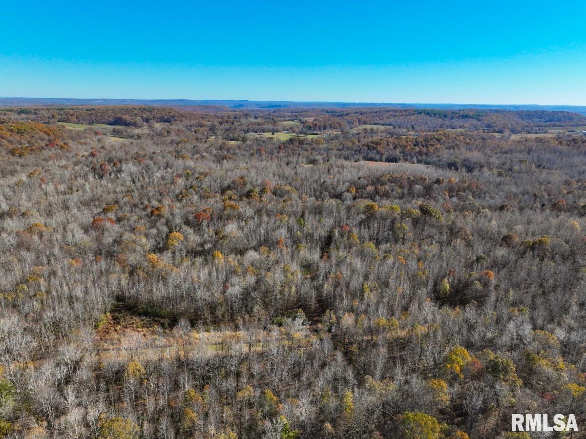 0 Route 1 Highway Cave In Rock, IL 62919 - Photo 54 of 69