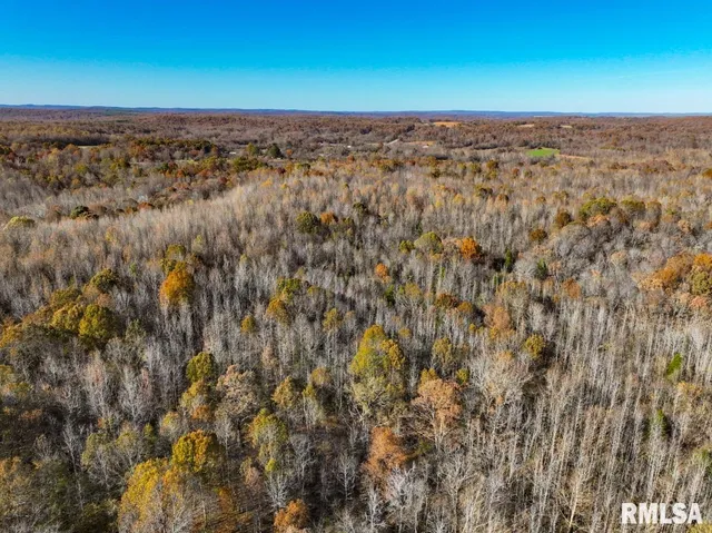 $1,273,095 | 0 Route 1 Highway, Cave In Rock, IL 62919