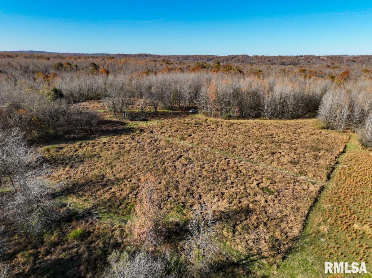 0 Route 1 Highway Cave In Rock, IL 62919 - Photo 56 of 69