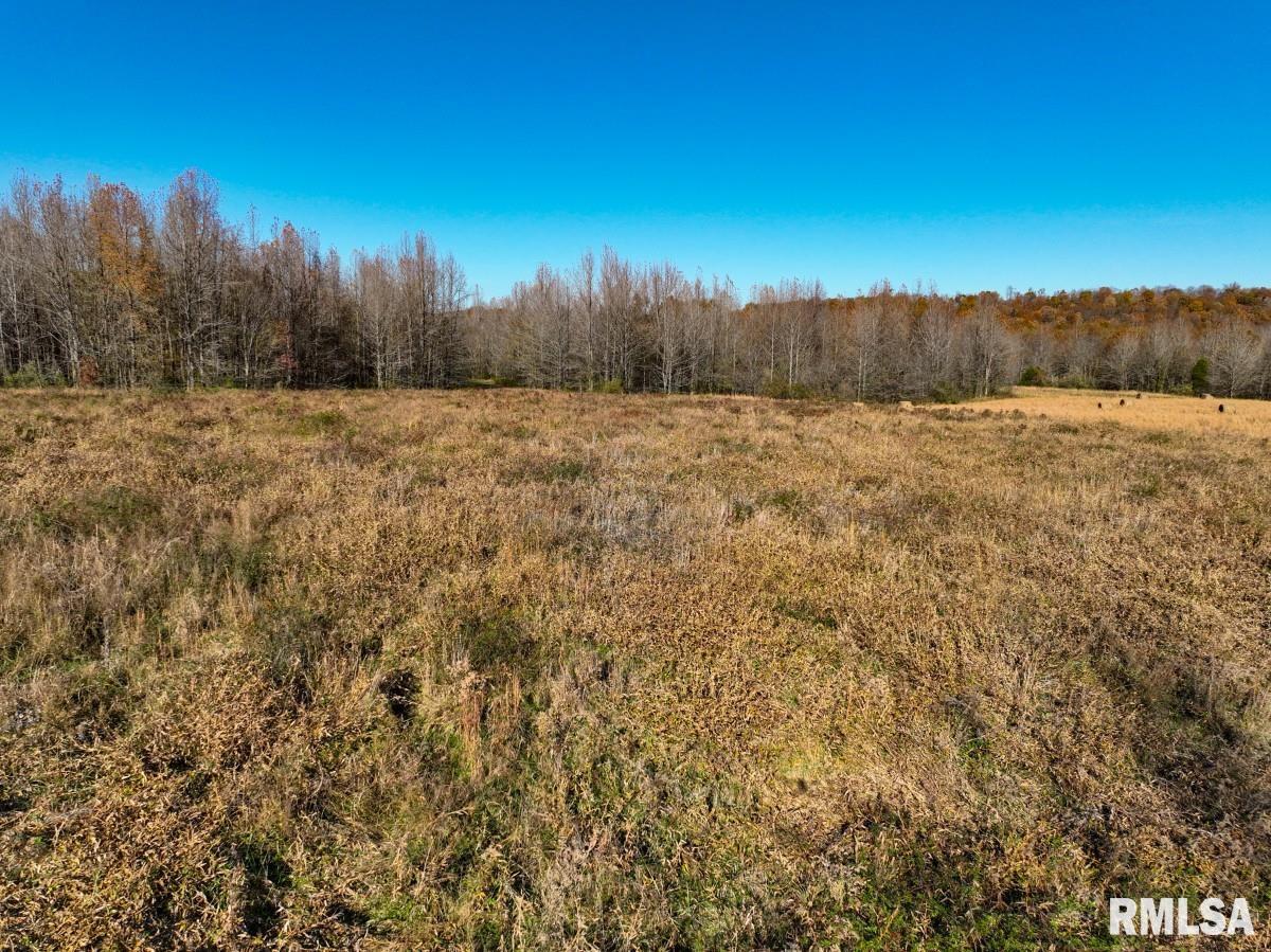 0 Route 1 Highway Cave In Rock, IL 62919 - Photo 57 of 69