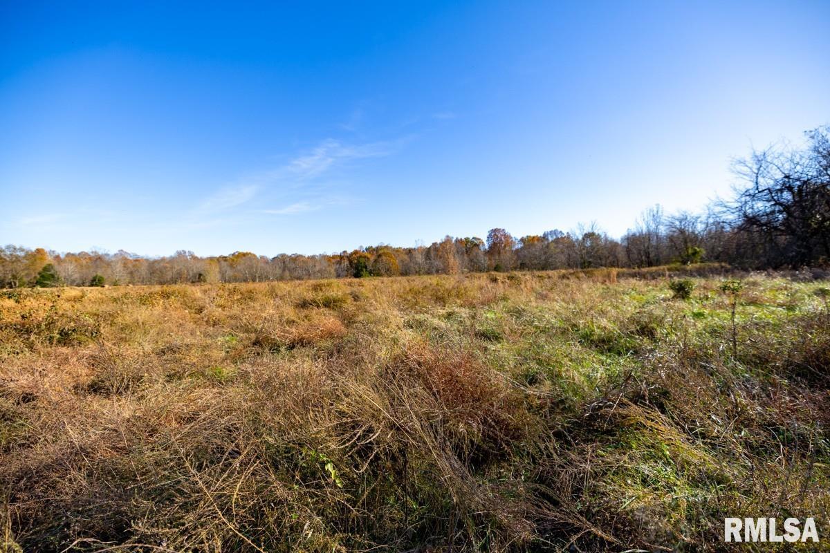 0 Route 1 Highway Cave In Rock, IL 62919 - Photo 58 of 69